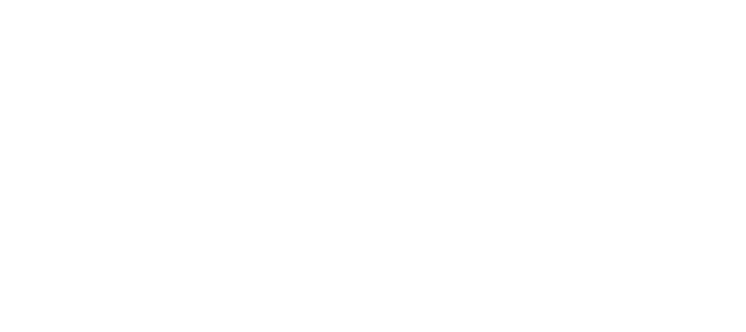 LIRIS WUO